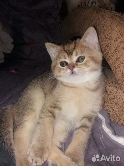 Милый мальчик