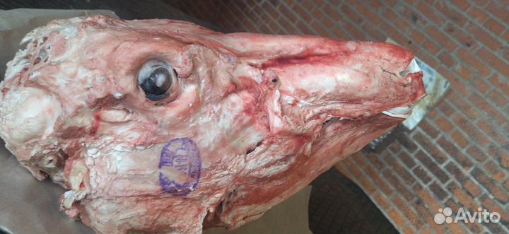 Голова говяжья