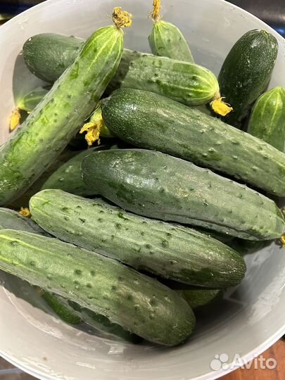 Сладкие огурчики