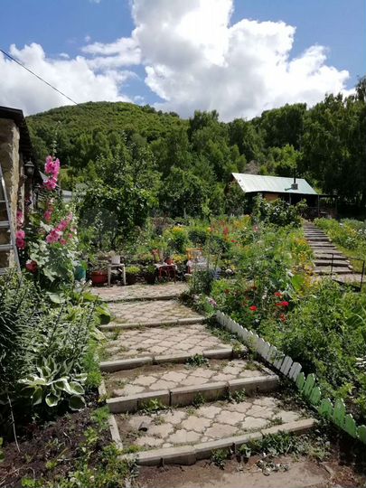 Дом 60 м² на участке 18 сот.