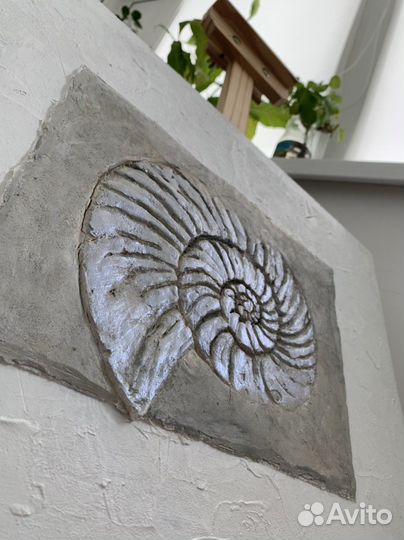 Интерьерная картина ракушка аммониты 40/50