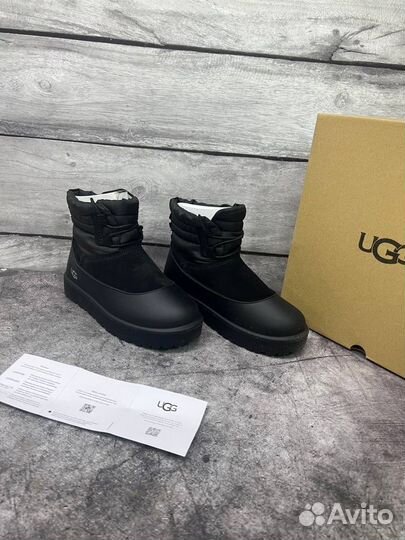 Ботинки Ugg женские