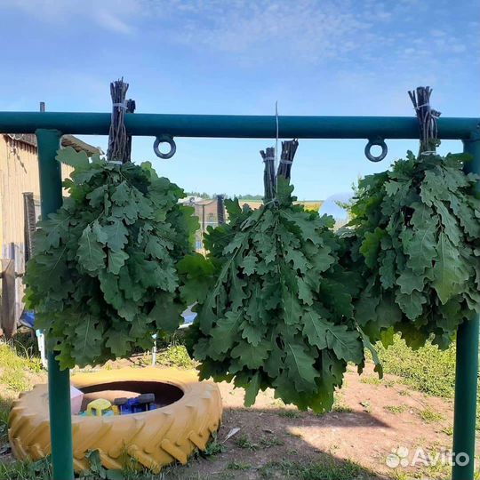 Веники березовые