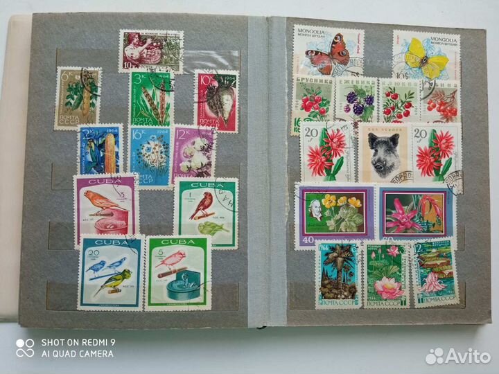 Альбом с марками: флора и фауна 1960-1980 гг