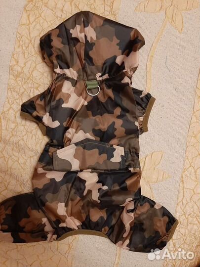 Одежда для собак