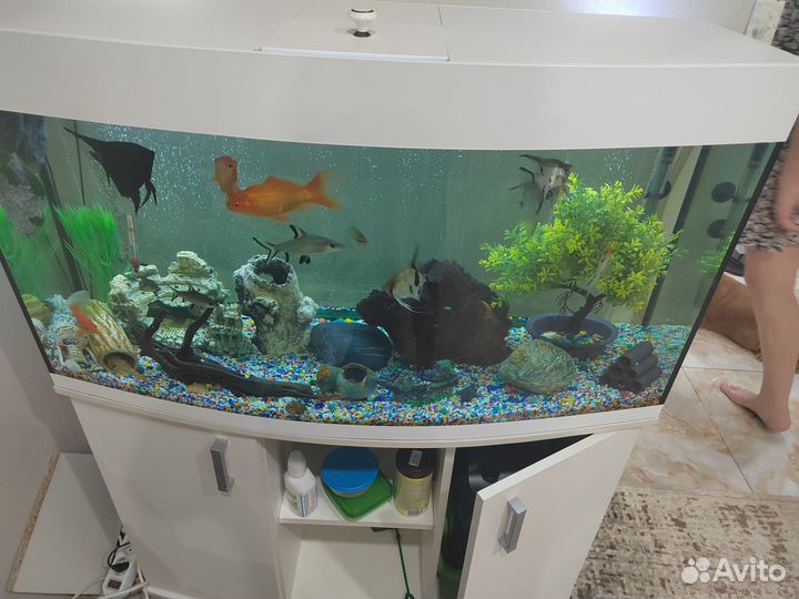 Аквариум