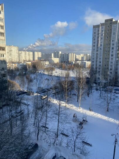 2-к. квартира, 50,7 м², 8/17 эт.