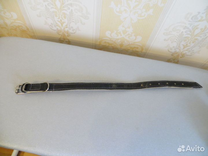 Ошейник для собак