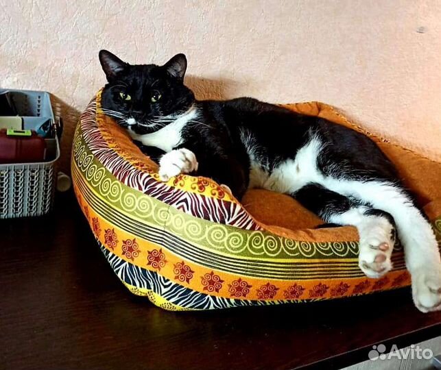 Молодая семейная пара в поисках жилья