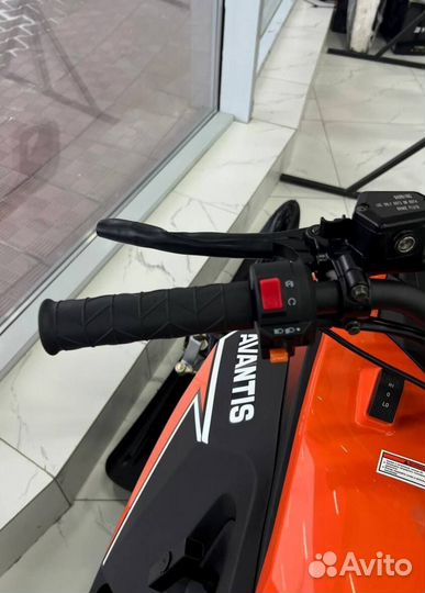 Утилитарный снегоход avantis