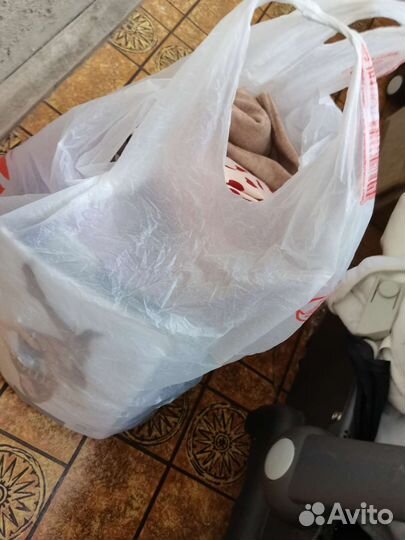 Пакет женской одежды 42 раз