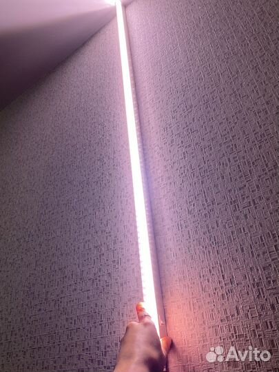 Фитолампа для растений