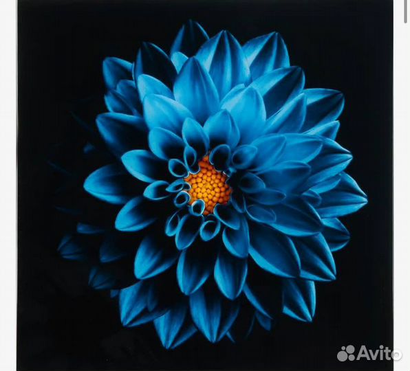 Картина из стекла синий цветок