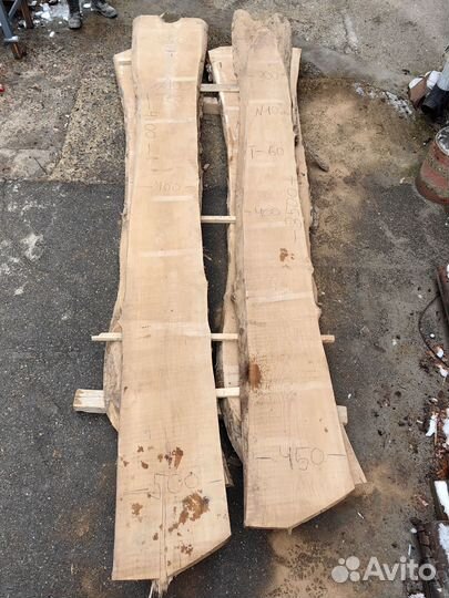 Слэб каповый карагач