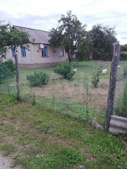 Дом 63 м² на участке 37 сот.