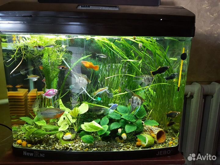Продам аквариум