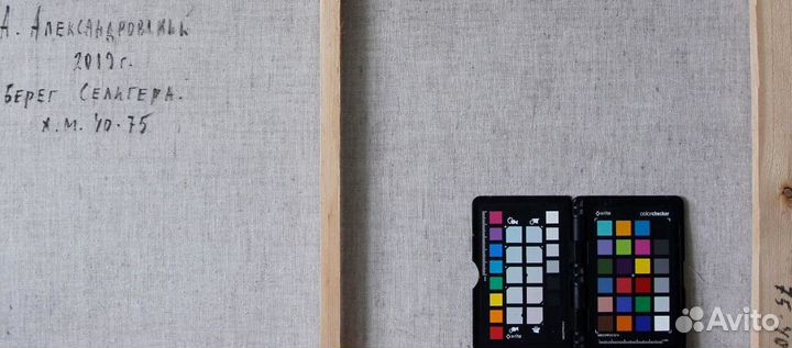 Картина Берег Селигера. Александр Александровский