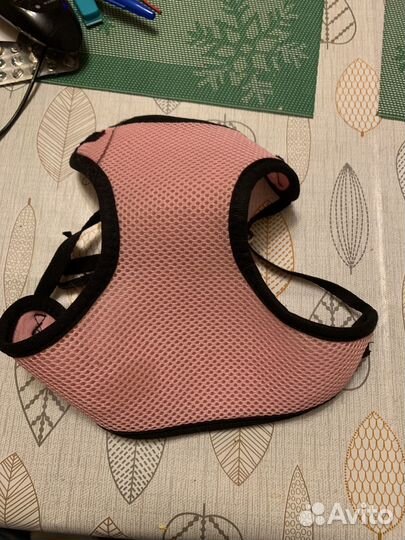 Шлейки для мелких собак