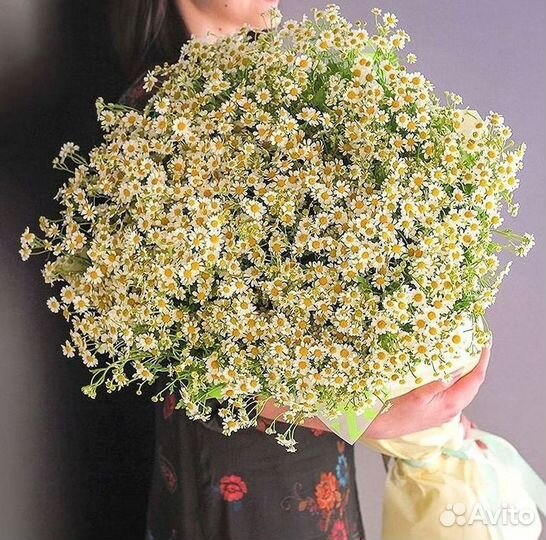 Букеты ромашек