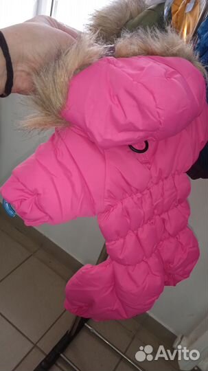 Комбинезон для животных