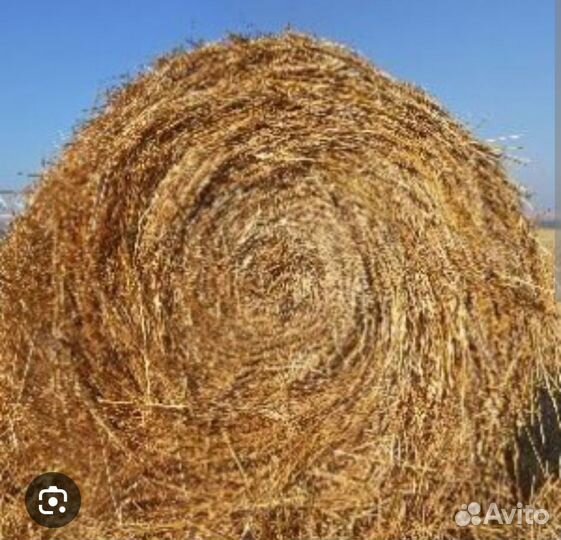 Сено в тюках