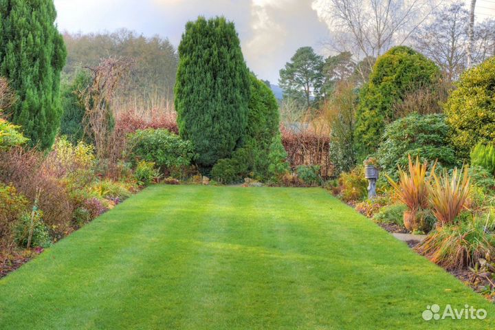 Рулонный газон.Ландшафтное проектирование под ключ