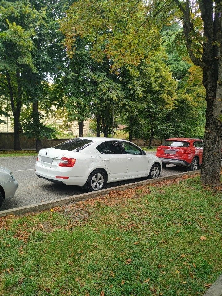 Skoda Octavia: фото владельца