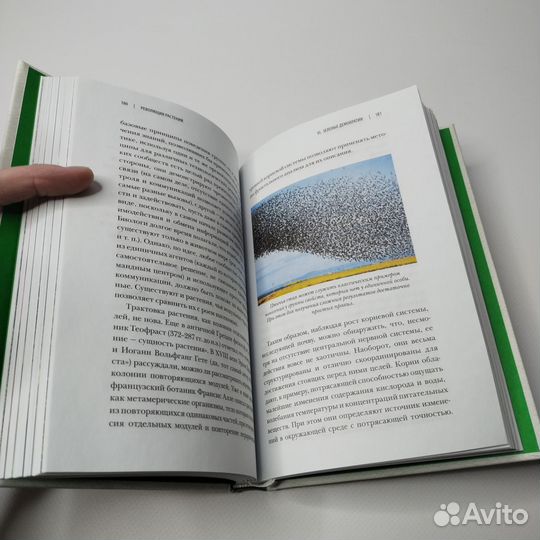 Революция растений манкузо