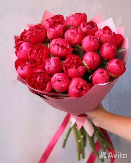 Пионы Букет пионов