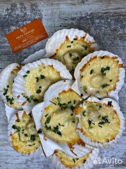 Морской гребешок