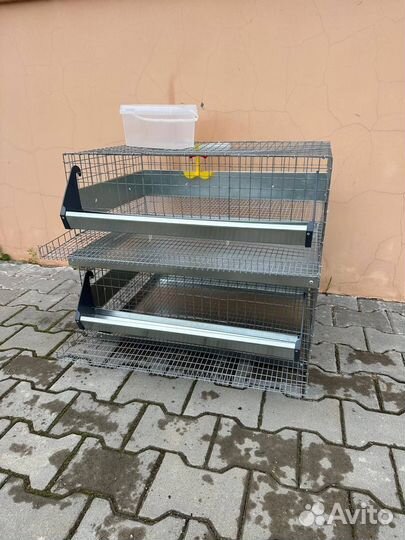 Клетки для перепелов на 60 голов