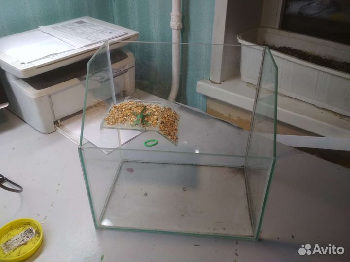 Аквариум или терариум