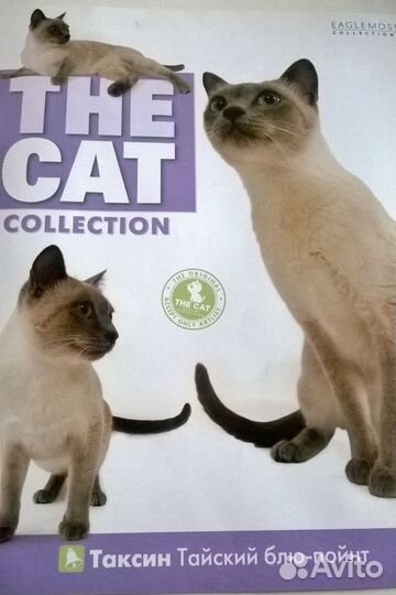 The Cat collection