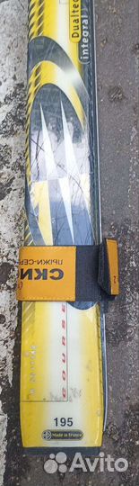 Горные лыжи