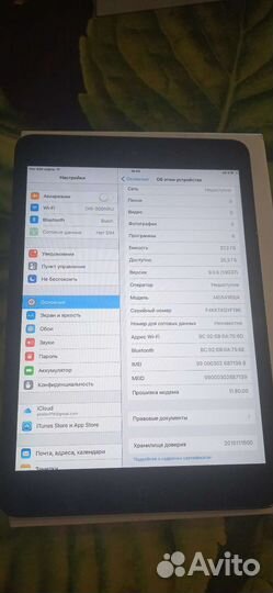 iPad mini A1455