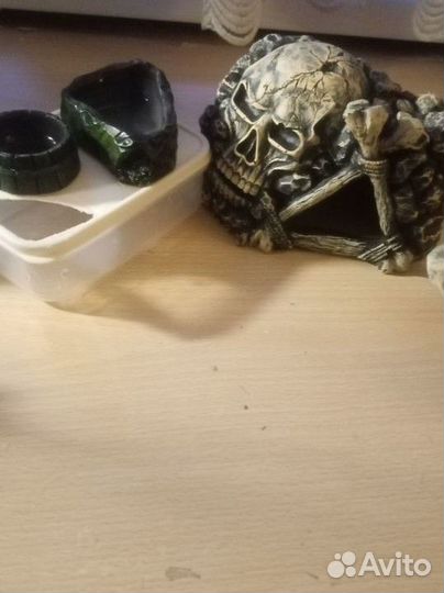 Комплект для гекона эублефара