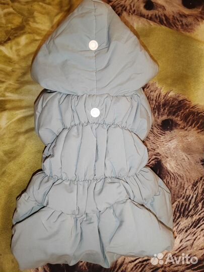 Одежда для маленьких собак xs