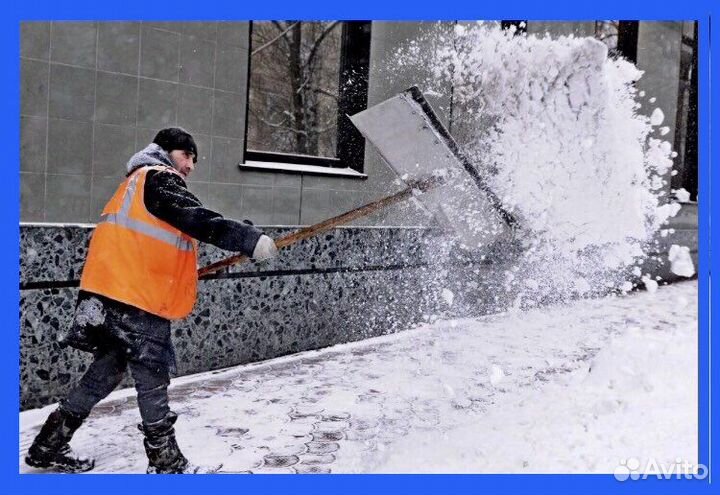 Грузчики.Рабочие. Истра