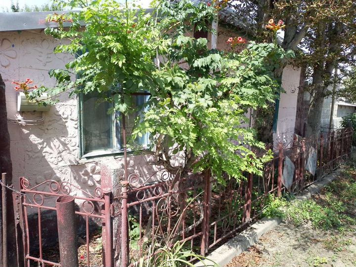 Дом 62,9 м² на участке 15 сот.