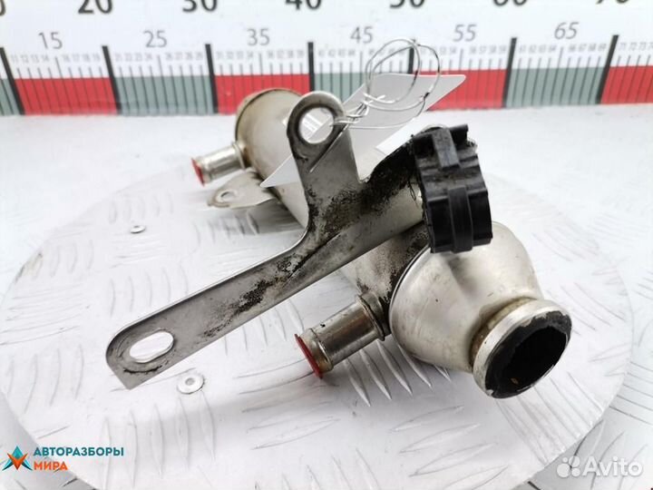 Охладитель EGR / Радиатор EGR Fiat Doblo 2004