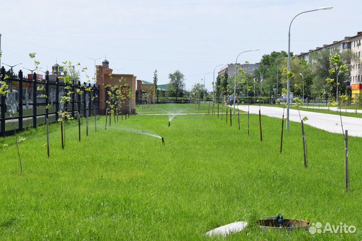 Газон Степной семена оптом