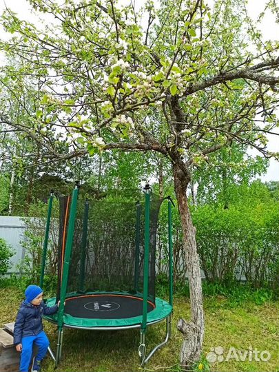 Батут с сеткой