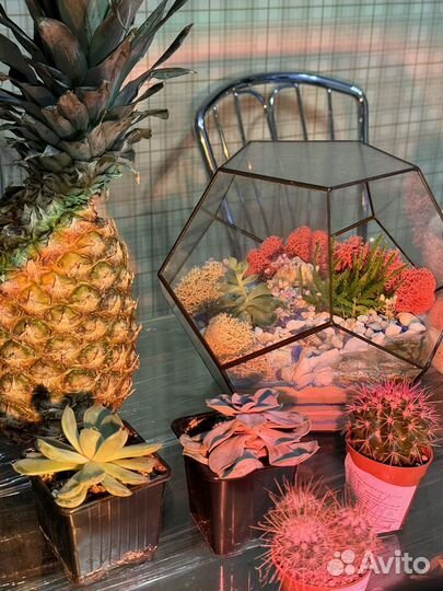 Флорариум на заказ