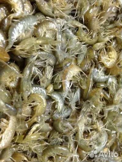 Мормыш оптом