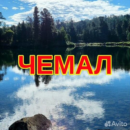 Отдых на Алтае, Чемал 2024
