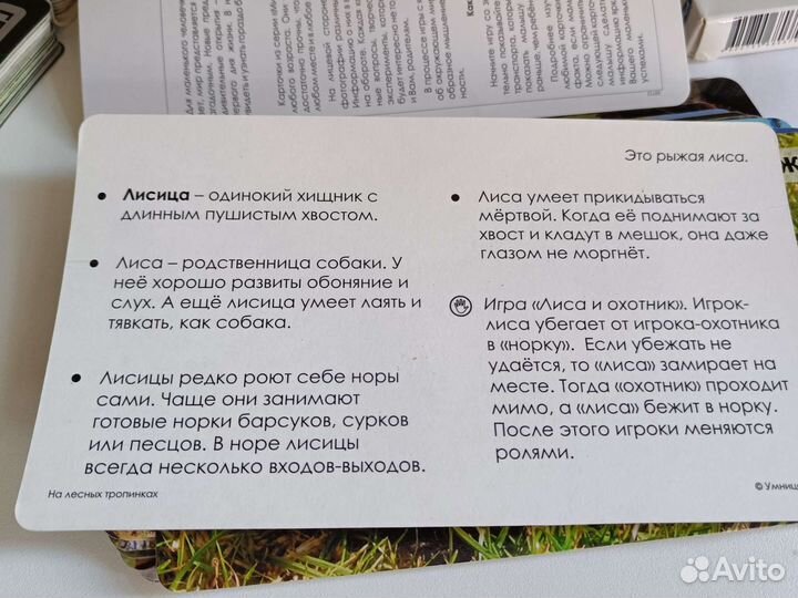 Умница мир на ладошке