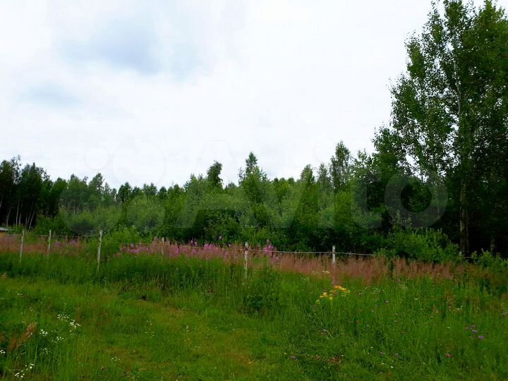 Участок 12 сот. (СНТ, ДНП)