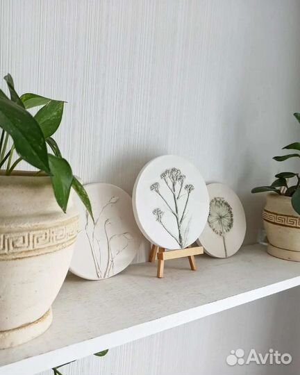 Ботанический барельеф