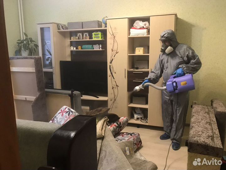 Уничтожение клопов/тараканов/слизней/короеда/змей