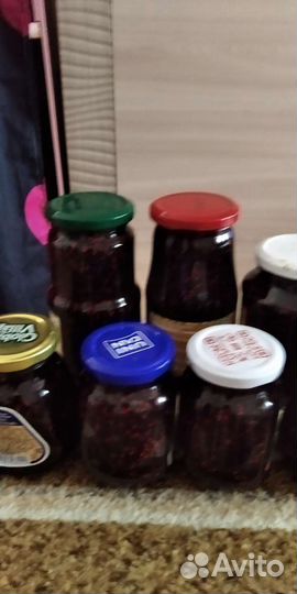 Черная бузина